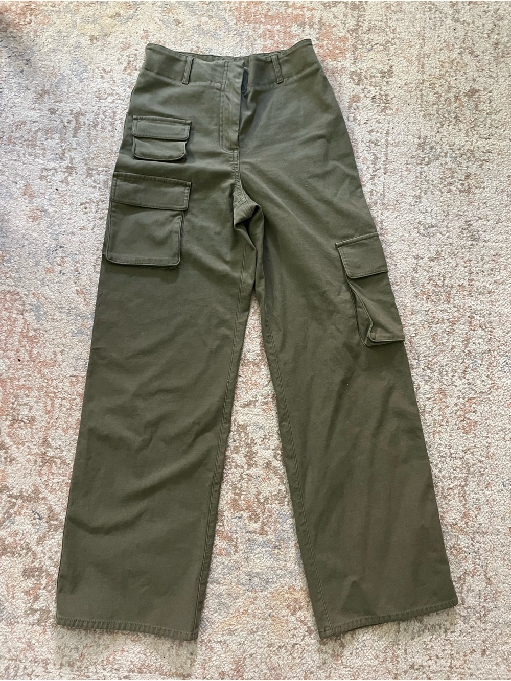 Aritzia Cargo Pants
